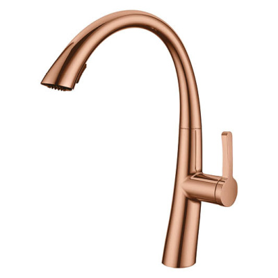 Expositor Central - RB3394